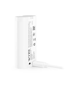 Alternative view of Removable Battery Pack