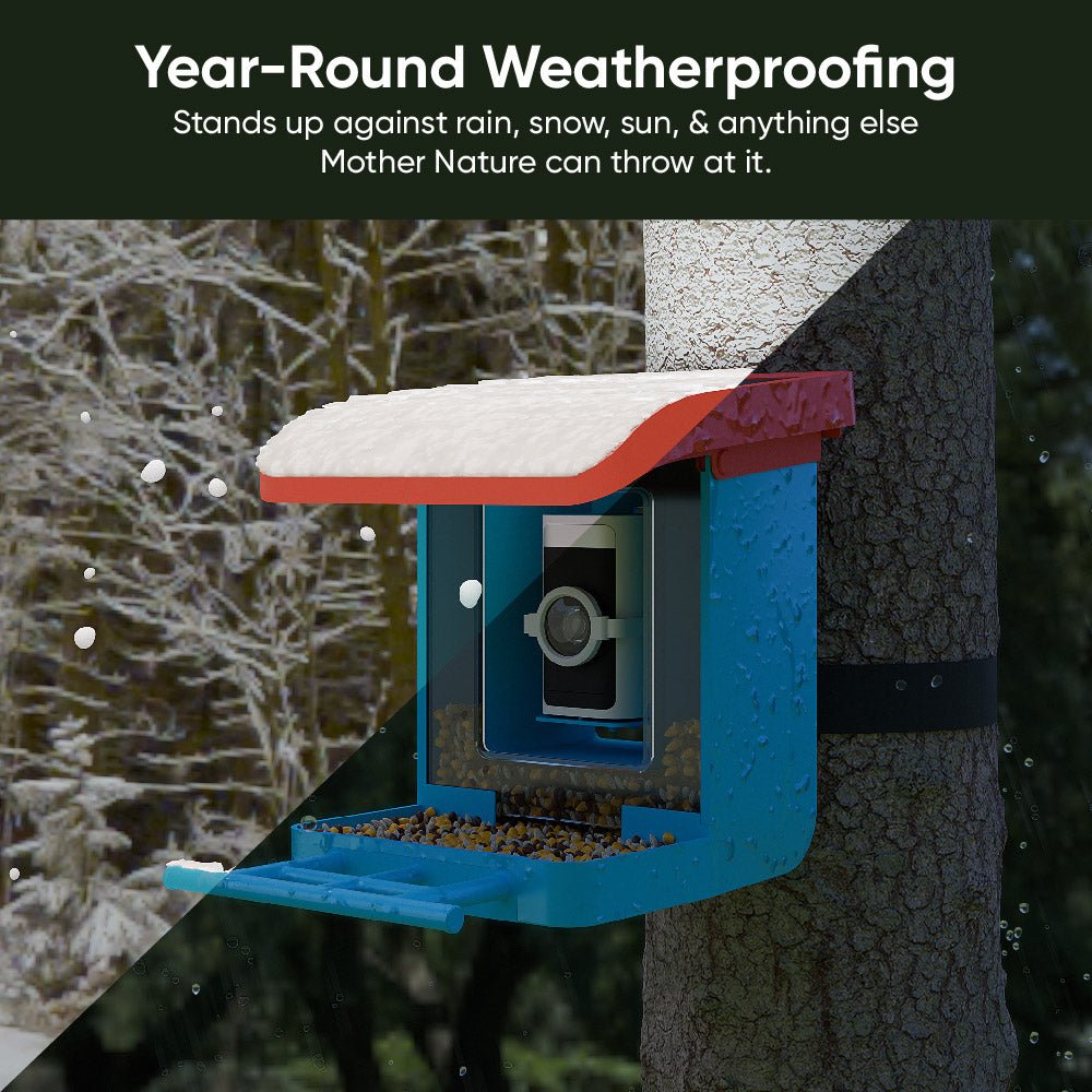 Bird Feeder - Image 4