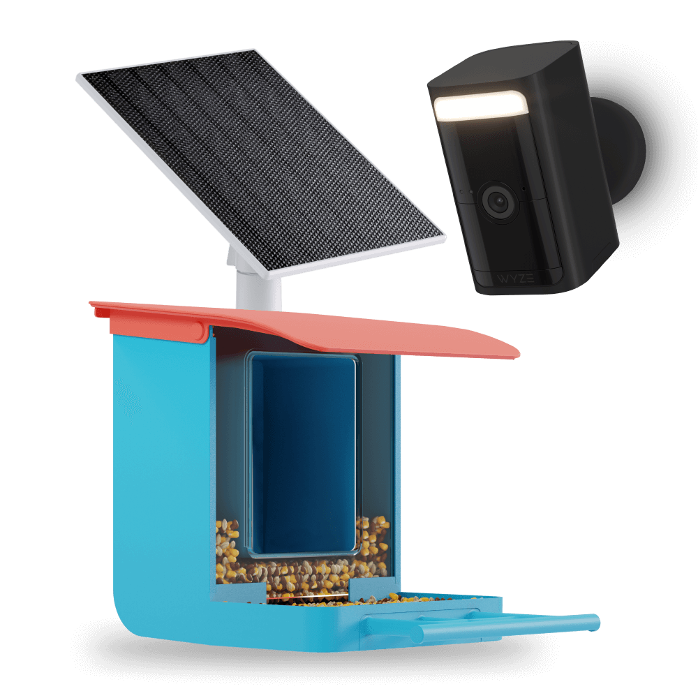Bird Feeder Wireless Camera Bundle - Image 6