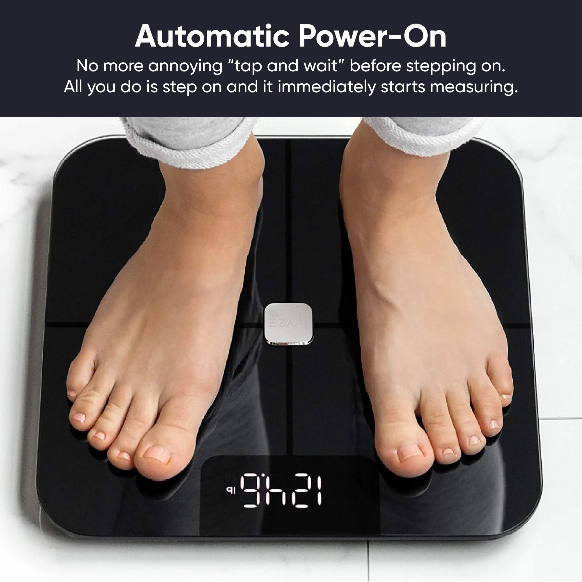 Scale - Image 6