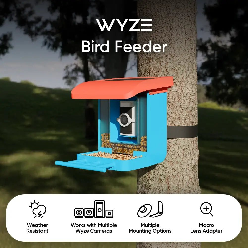 Bird Feeder - Image 3