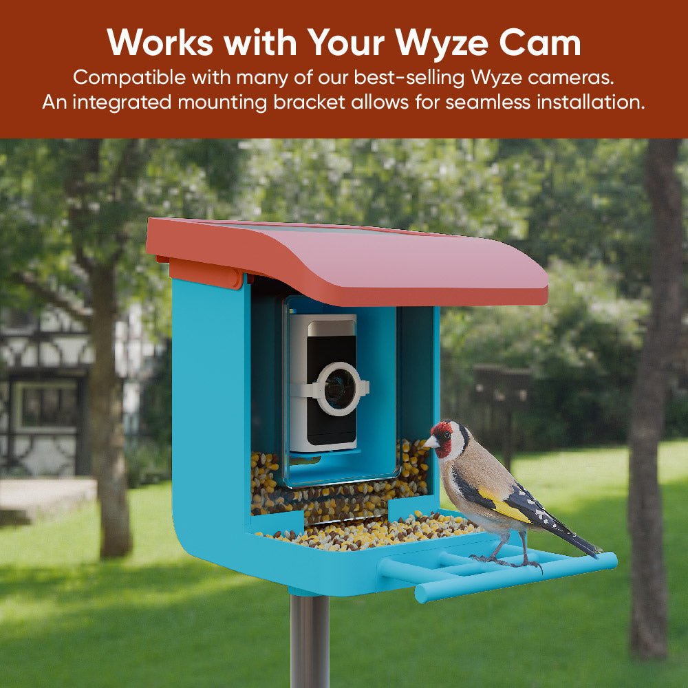Bird Feeder - Image 6
