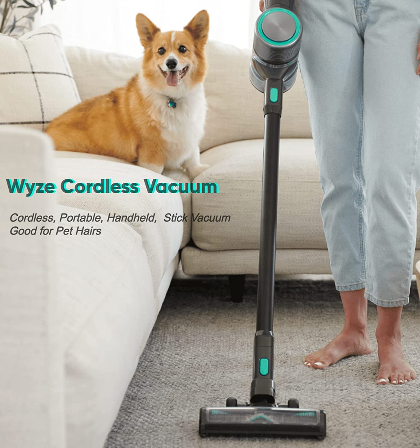 Cordless Vacuum (First Generation) - Image 5
