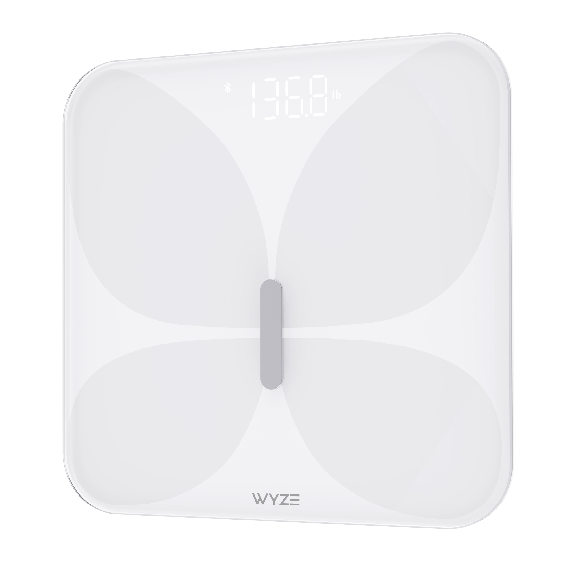 Scale X - Image 7