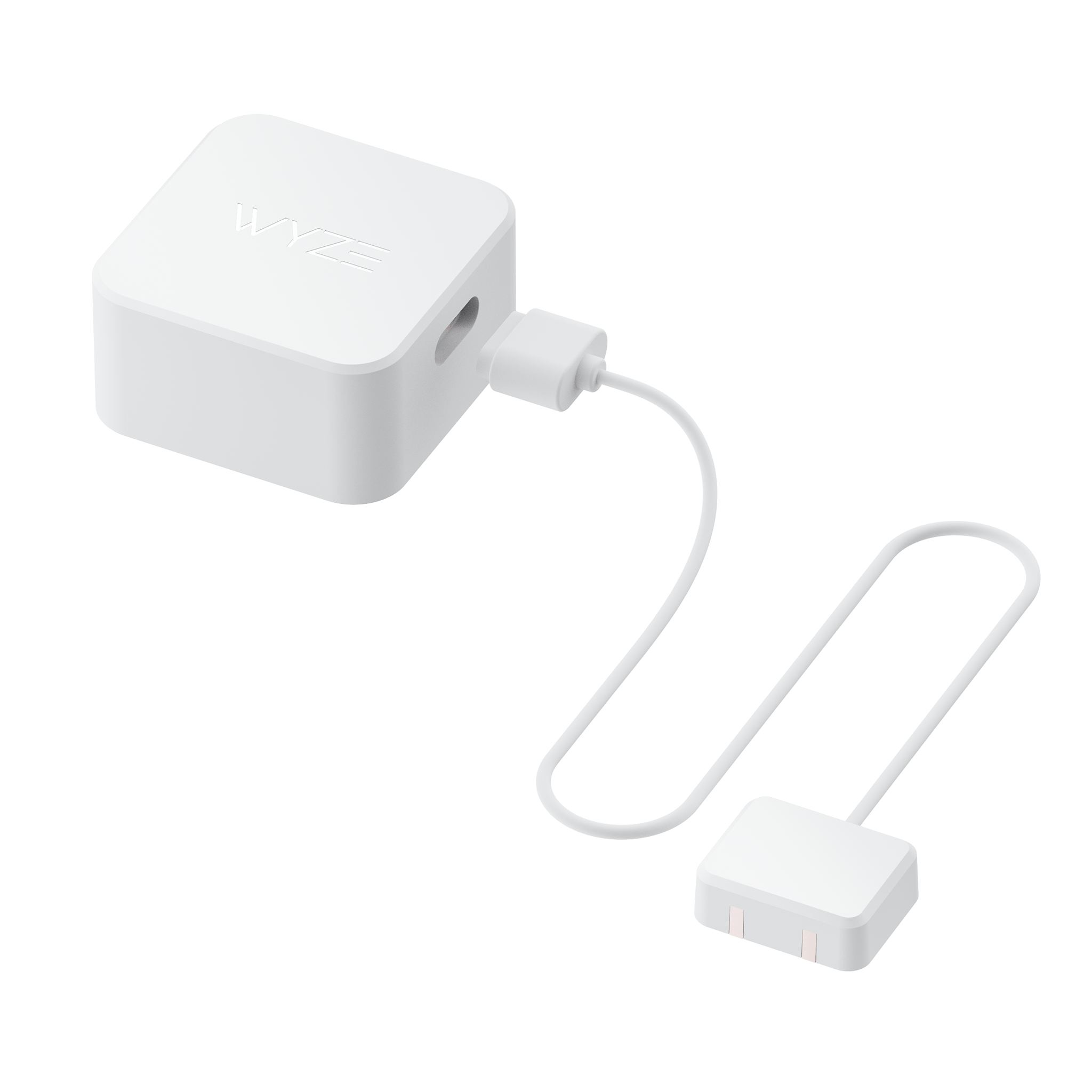 Sense Leak Sensor & Probe - Image 2