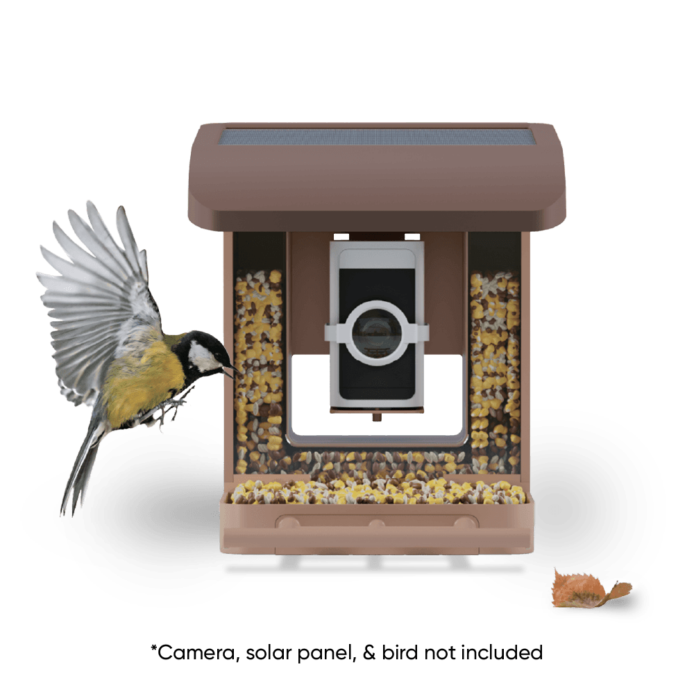 Bird Feeder - Image 2