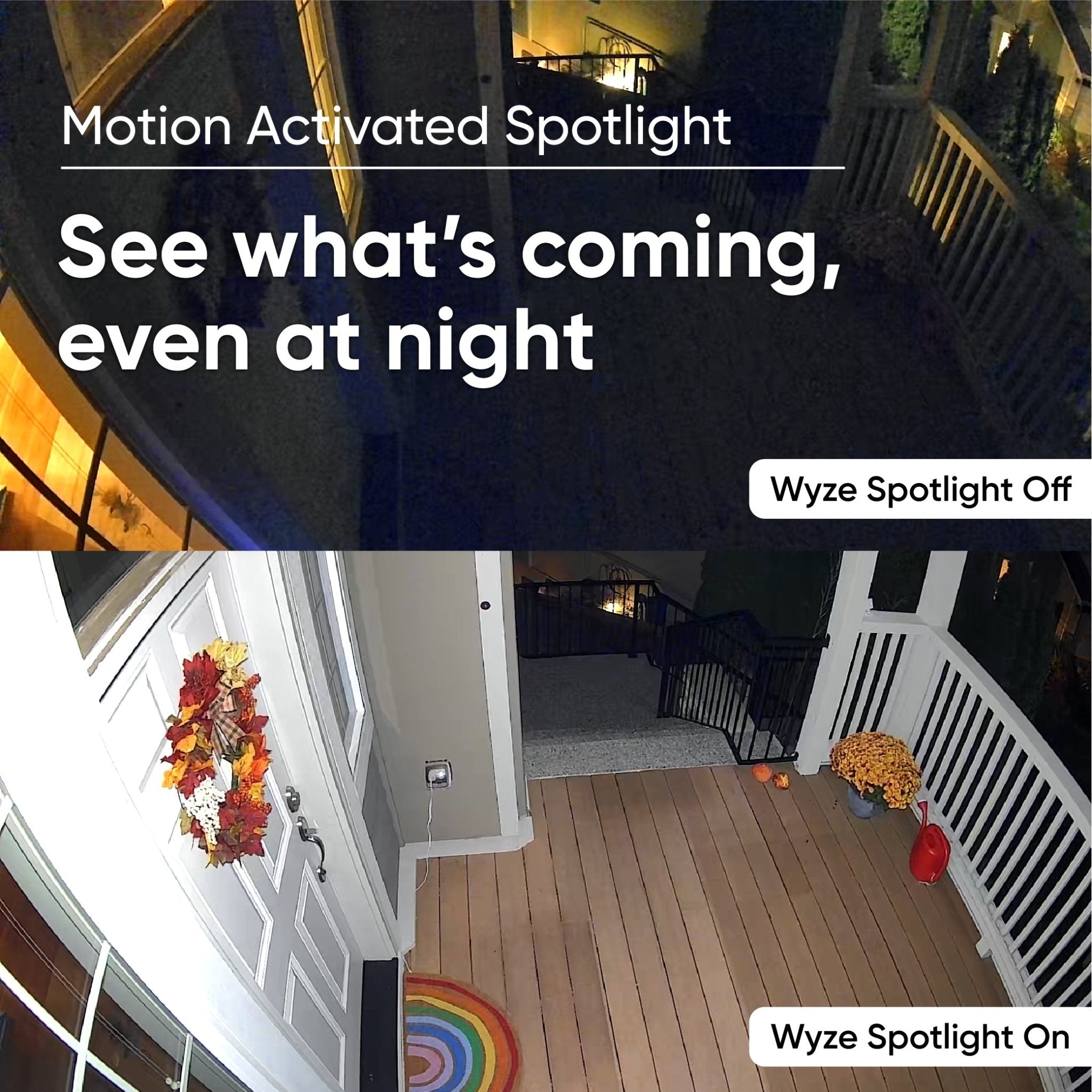 Cam Spotlight Bundle - Image 5