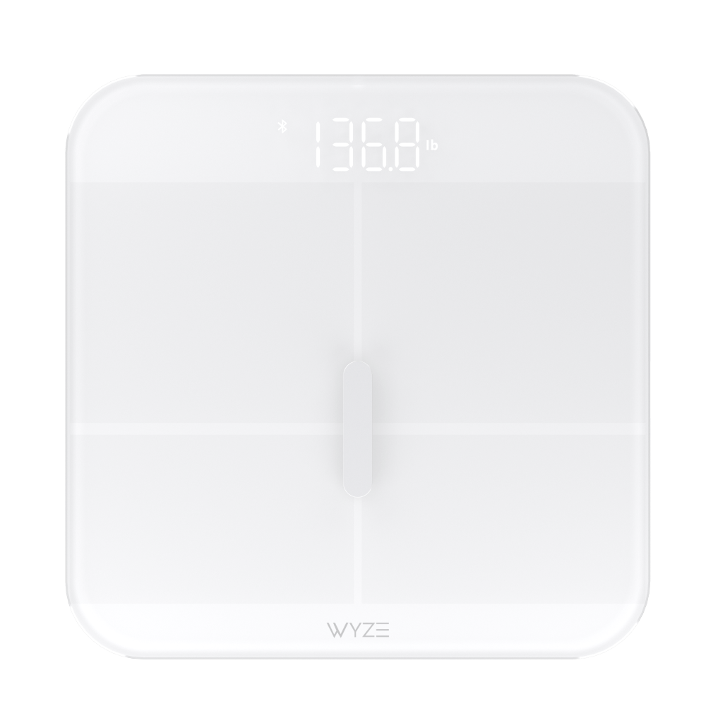 Scale X - Image 5