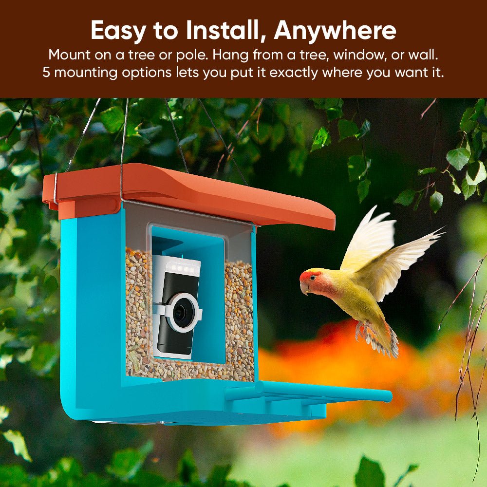 Bird Feeder - Image 5