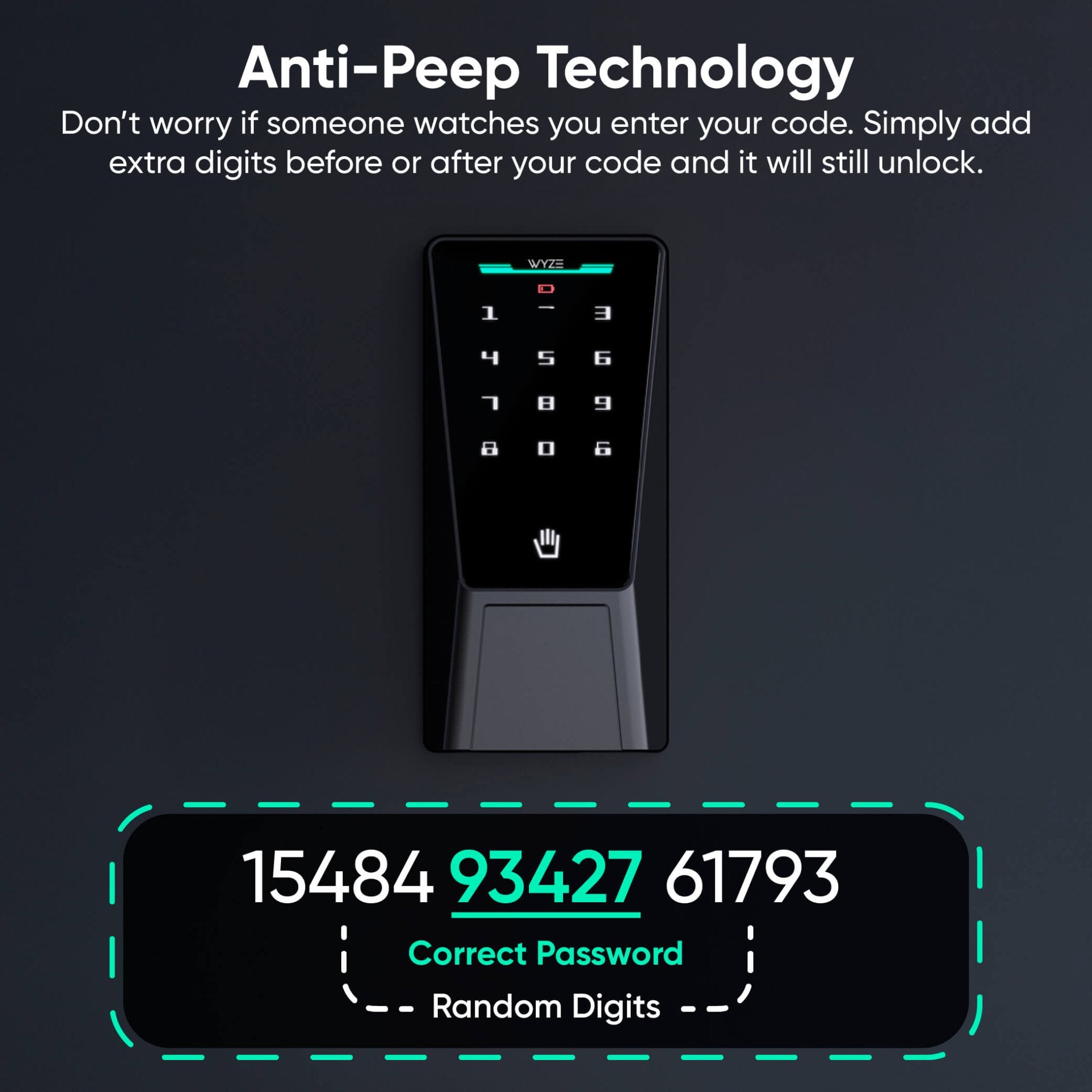 Palm Lock - Image 7
