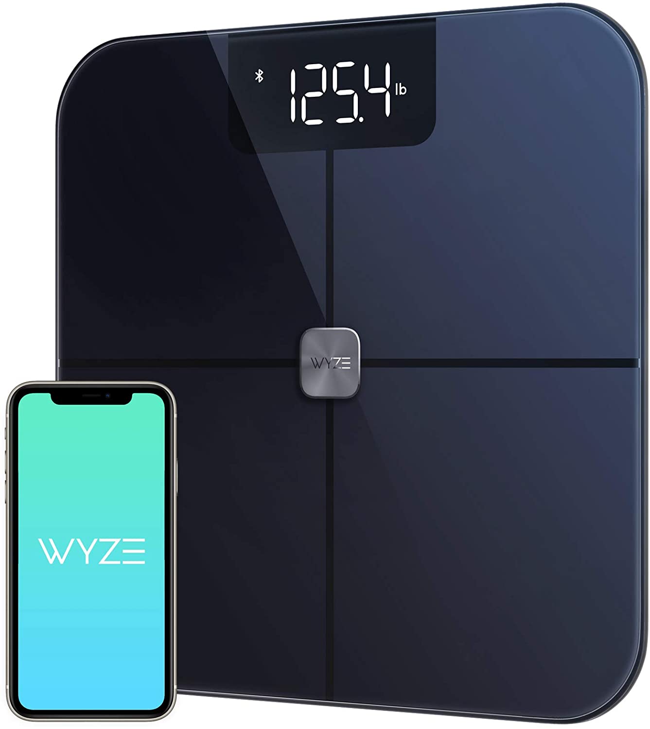 Scale