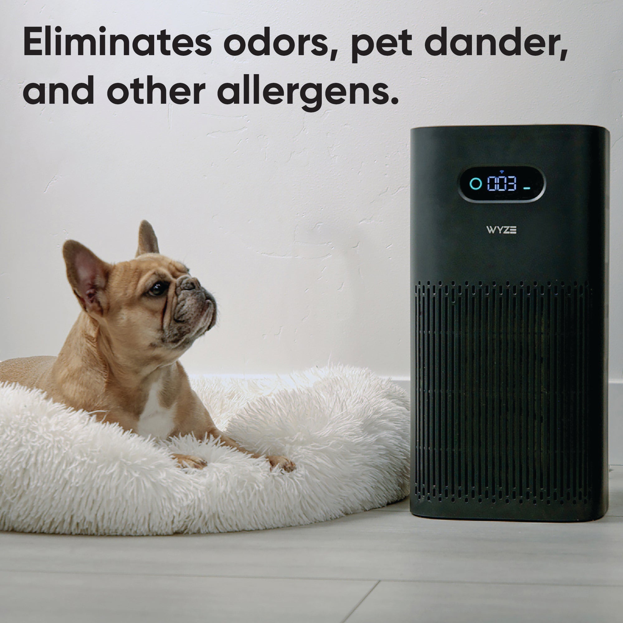Air Purifier - Image 6