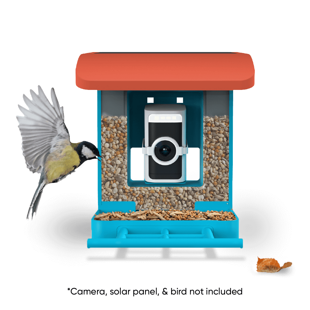 Bird Feeder