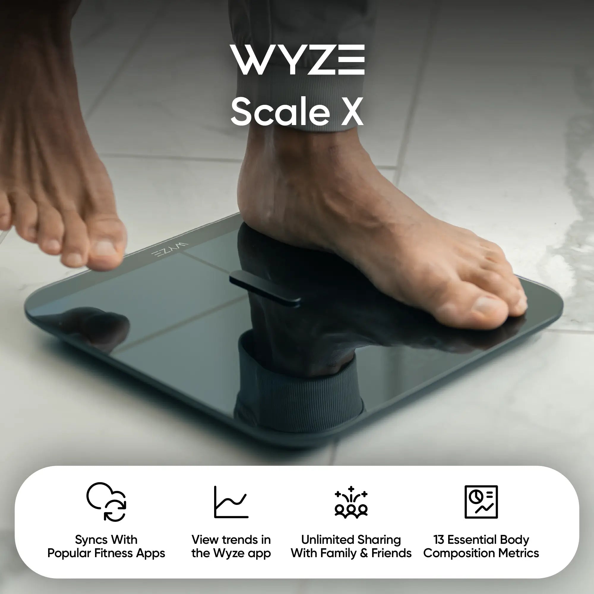 Scale X - Image 2