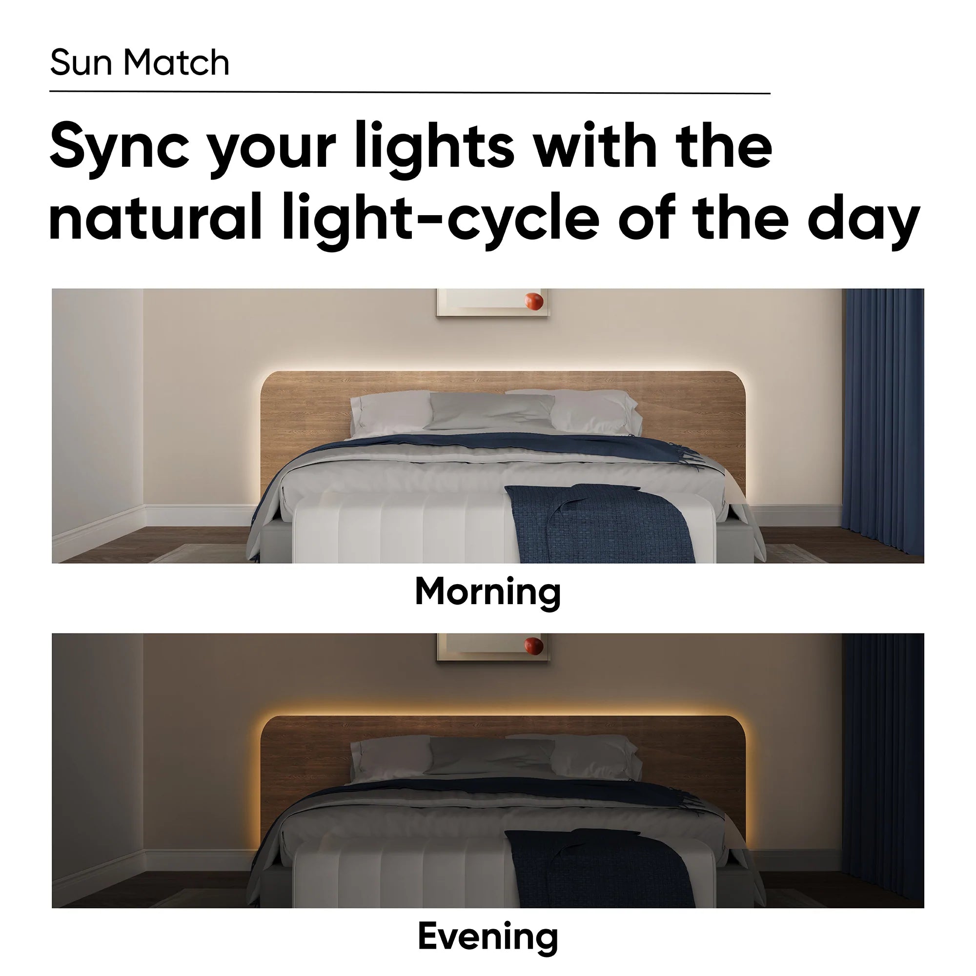 Color Lighting Pack - Image 5