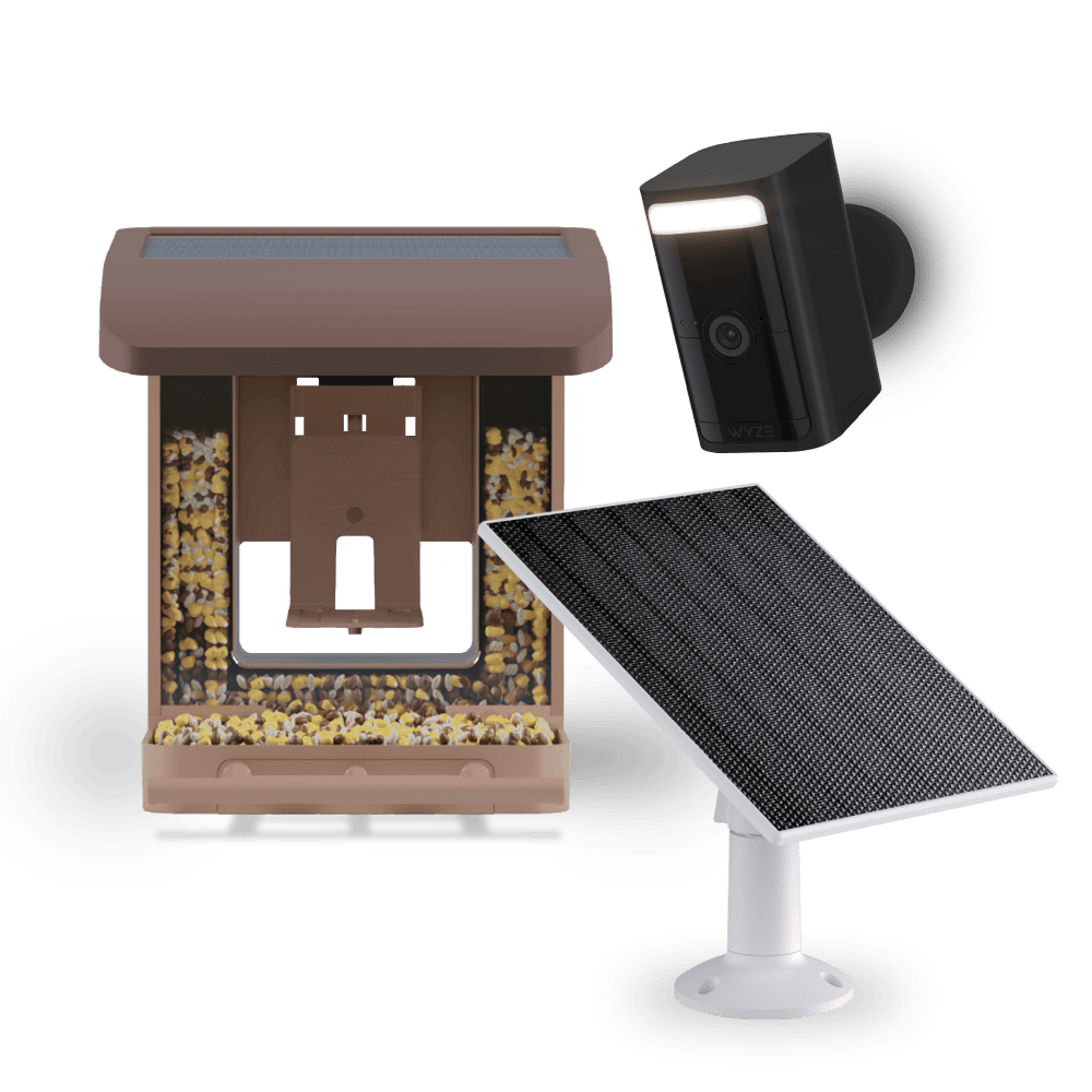 Bird Feeder Wireless Camera Bundle - Image 2