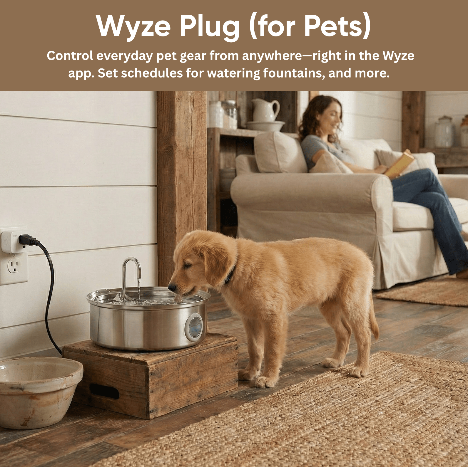 Pet Monitoring Basic - Image 2