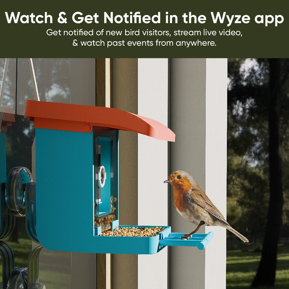 Bird Feeder - Image 8